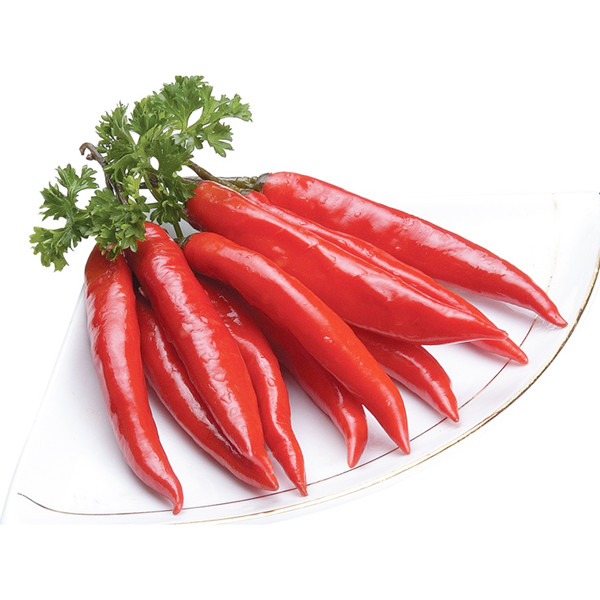 食堂承包餐飲公司，使事情更有服從