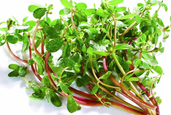 食堂承包餐飲服務(wù)管理為員工發(fā)展提供美味的食物，可以增加員工的社會(huì)福利